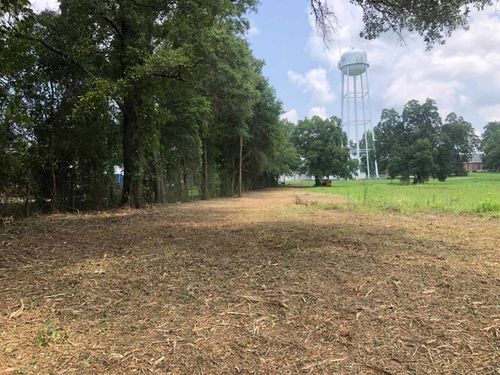 Brush mowing & Forestry mulching for Jason Scott Grading & Clearing in Williamson, GA