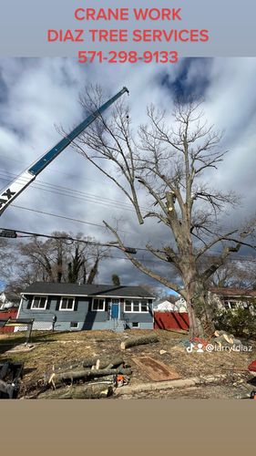 Crane services for DIAZ TREE in Stafford, VA