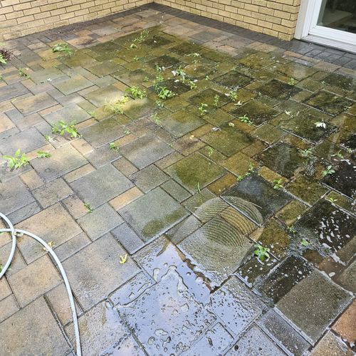 All Photos for Reliance Pressure Washing in Livonia, MI