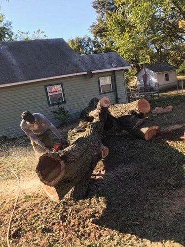 Tree Removal for Tree2Tree Tree Service in Sherman, Texas