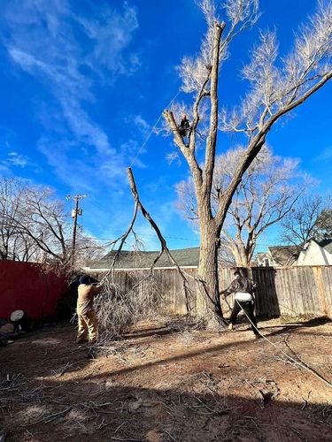 Tree Removal for Tree2Tree Tree Service in Sherman, Texas