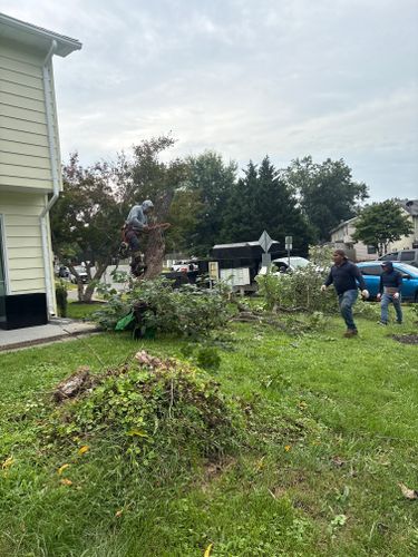  for Mountainside Property Services LLC in Warrenton, VA