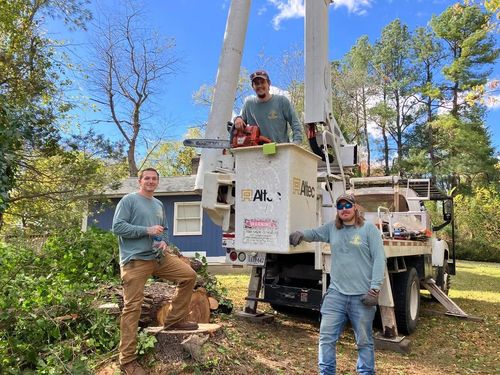 All Photos for Gray's Tree Service Inc in Maurertown, VA