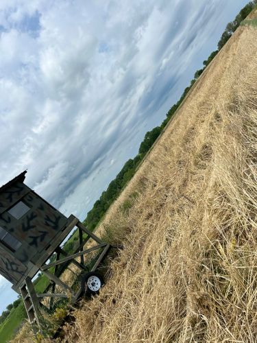 Hunting Stands/Tower Blind Construction for Two Young Bucks in Leon, IA