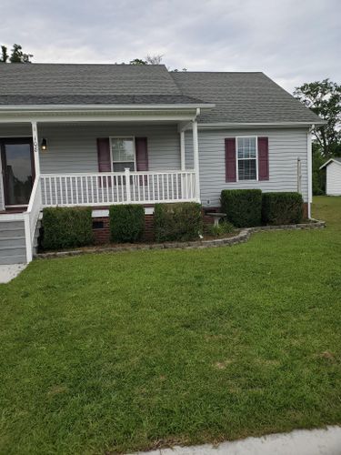 Hedge Work for Heroy's Lawn Services in Jacksonville, North Carolina