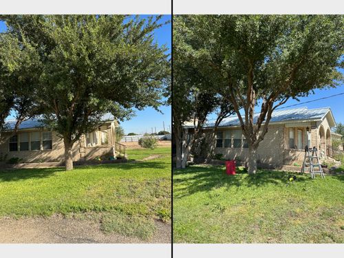 Tree Trimming for Compas Cleanup in McCamey, TX