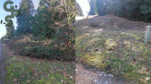 Brush Clearing - Bramble Clearing - Blackberry Clearing for Golovin Property Services LLC in Marysville, WA