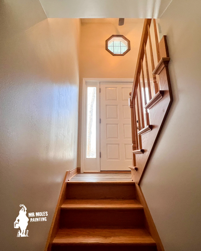 Residential Painting for Mr. Mole's Painting in Bemidji, MN