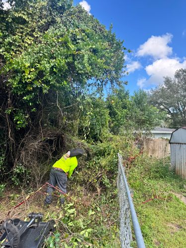  for Broadway Tree Care in Inverness, FL
