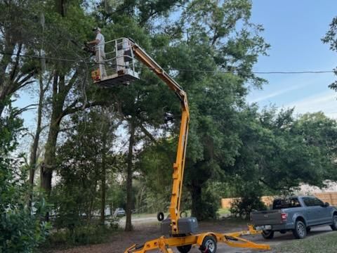 All Photos for All Seasons Tree and Land Works in Trenton, FL