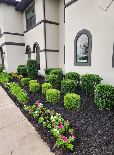 All Photos for Lavon Lawn Plus in Lavon, TX