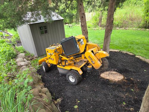  for American Outdoor Services & Stump Grinding in Maple Grove, MN