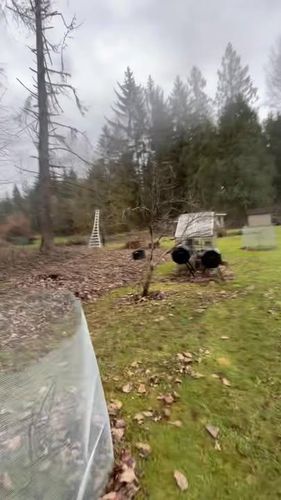  for Avenscapes NW, LLC in Getchell , WA