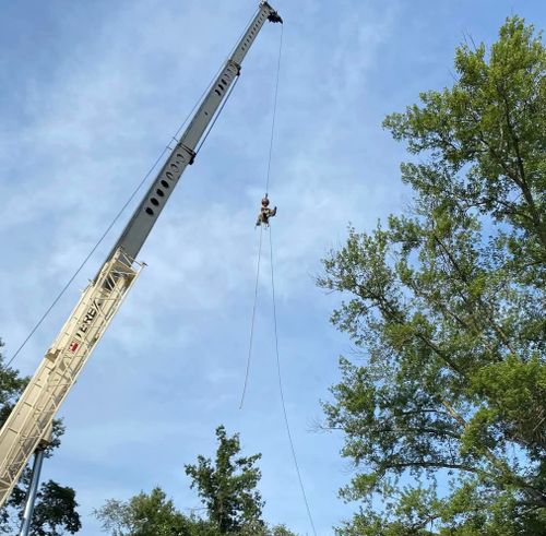 Tree Removal for Highborn Tree Service in Wheatfield, IN
