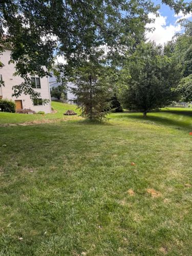  for Fairchild Fencing in Byron, MN