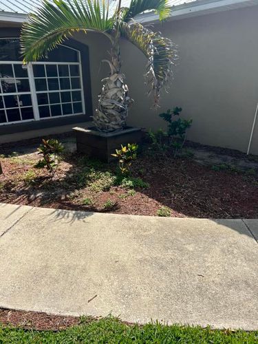 All Photos for Estrada All Pro Lawn Service in Auburndale, Florida