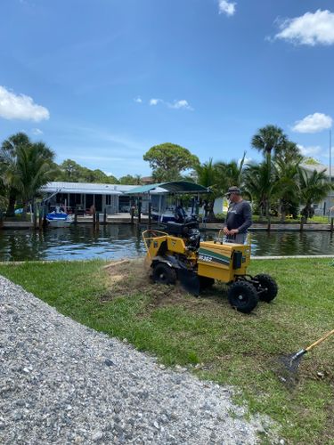 Stump Grinding for MX Trees LLC in Englewood, FL