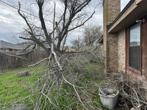 Mowing for Allen Lawn Care in Taylor, Texas