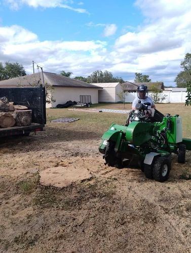 Stump Removal for Highlands Tree Service LLC in Avon Park, FL