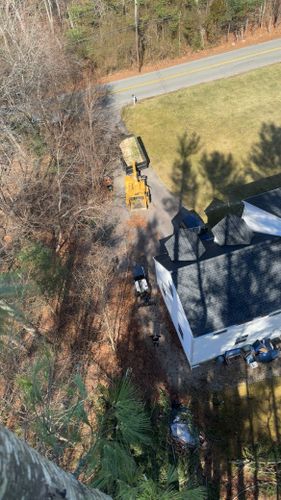  for Powell Tree Service Inc.  in Cape Cod, MA
