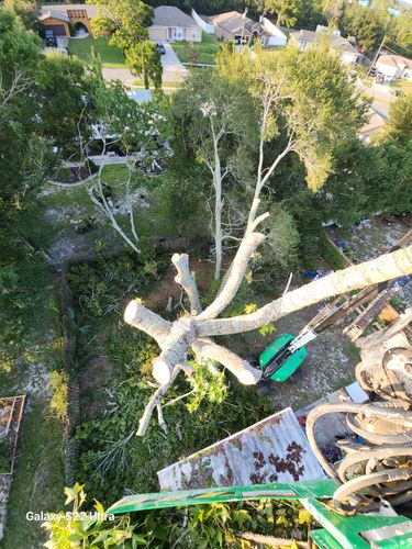 All Photos for Highlife Tree Care And Landscaping in Altamonte Springs, FL