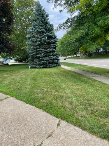 Shrub Trimming for Solid Oak Lawn Care in East Grand Rapids, MI
