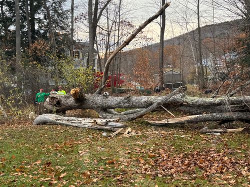  for Clifford’s Quality Tree Care & Landscaping in Enfield, NH