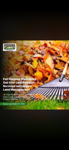 Leaf Removal And More for Hipp's Land Management LLC in Tryon, NC