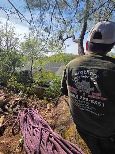 All Photos for Green Brothers Tree Services in Blacksburg, VA