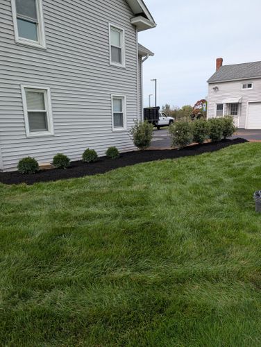 Privacy Plantings for Ettere Landscape Services in Flemington, NJ