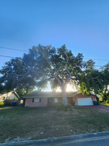 All Photos for Highlife Tree Care And Landscaping in Altamonte Springs, FL