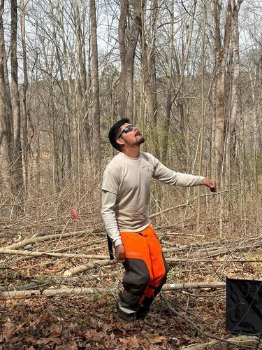 All Photos for Ramirez Tree Care in Elkin, NC