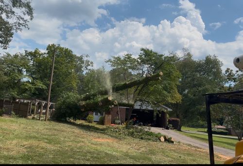  for ArborMax in Thomaston, GA