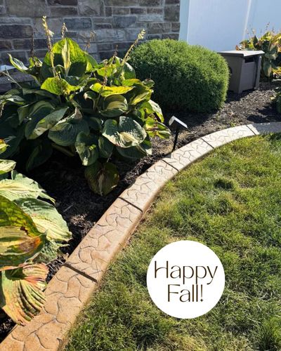 Tree & Shrub Care for Boots Borders in Westville, IN