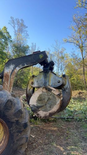  for Williamson Logging in Hardy, VA