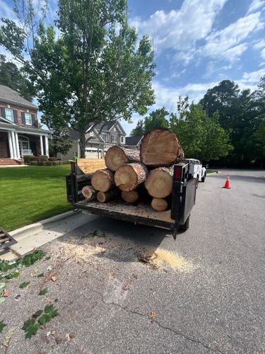  for AB Tree Service in Raleigh, NC