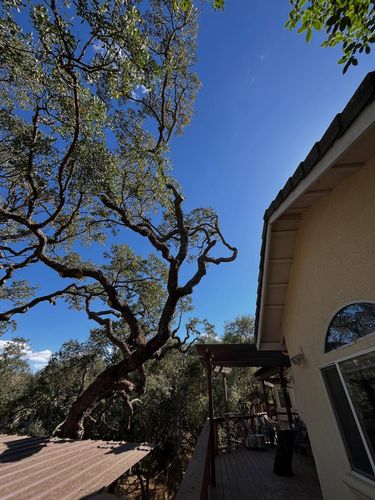Tree Removal for A1 Junk & Tree Solutions, LLC in Paso Robles, CA
