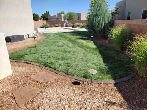 Fall Clean Up for 2 Brothers Landscaping in Albuquerque, NM