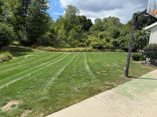  for Phillips Lawn Services in Ravenna, MI