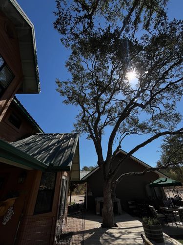 Tree Removal for A1 Junk & Tree Solutions, LLC in Paso Robles, CA