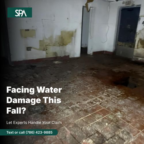  for Surplus Public Adjusters in Miami-Dade County, FL