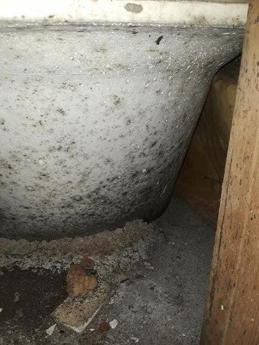 Water Damage for Titan Remediation Industries in West Palm Beach, FL