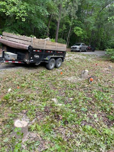 Tree Removal for Rosales Landscaping LLC in Lake Gaston, North Carolina