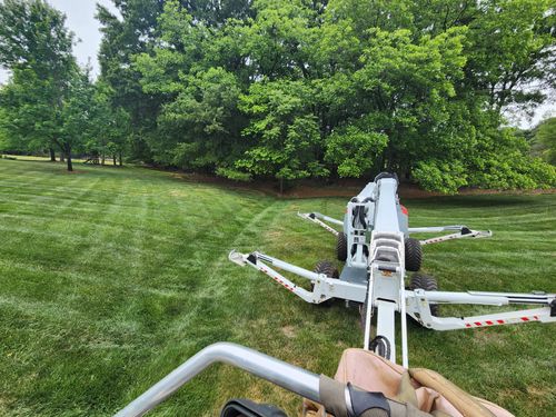  for Owens Tree Services in Inman, SC