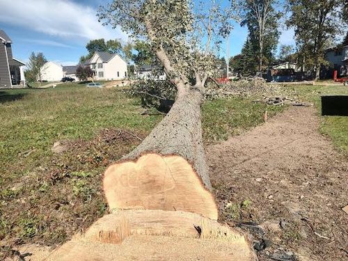  for Billiter's Tree Service, LLC in Rootstown, Ohio