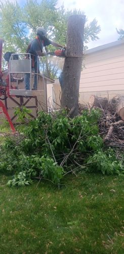  for Lawn Ranger Yard And Tree Service in Ottumwa, IA