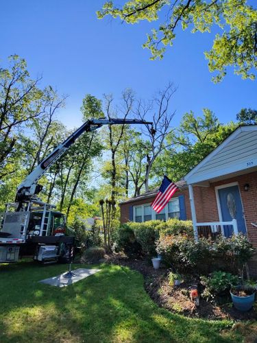  for Darbie's Tree Service in Newburg,  MD