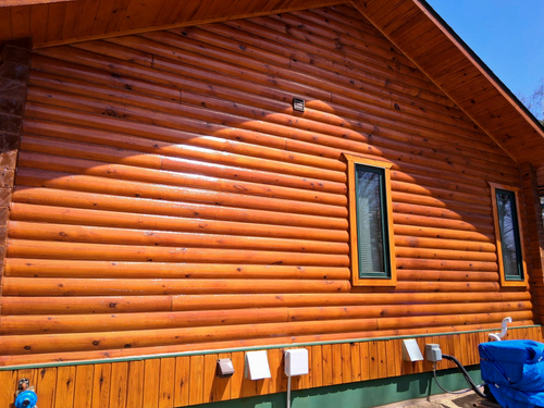 Log Home Refinishing for Mr. Mole's Painting in Bemidji, MN