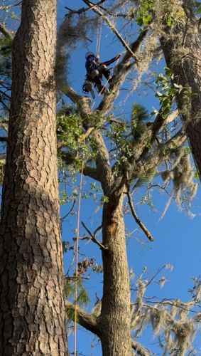  for Elevate Tree Care in Gillette, WY