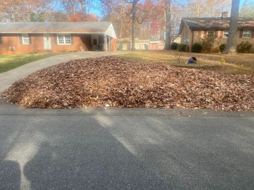 Leaf Clean Up for America's Top Pick Lawn & Landscaping in Gastonia, NC